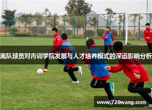 离队球员对青训学院发展与人才培养模式的深远影响分析